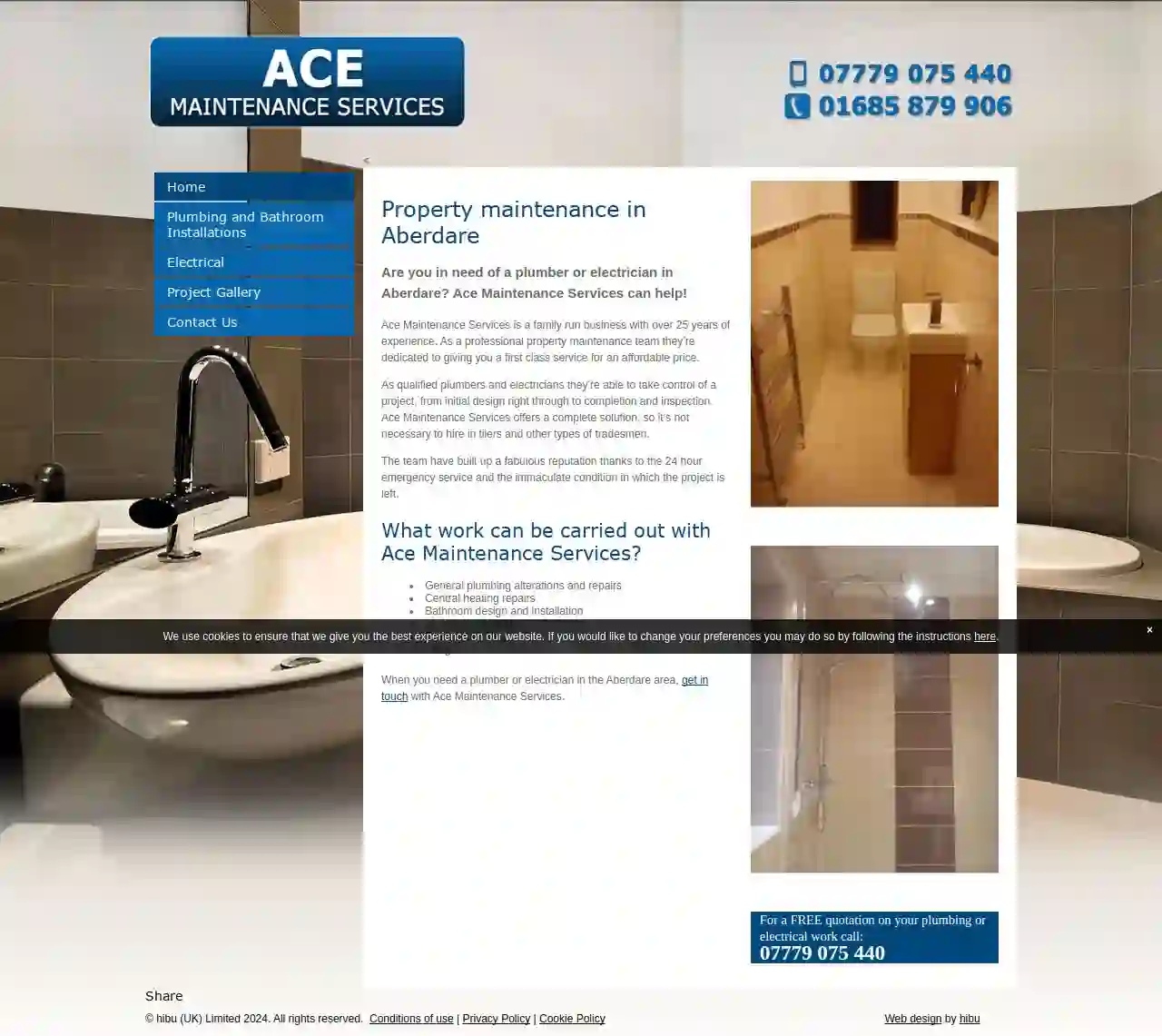 Ace Maintenance Services 24 Hour Plumbing Services