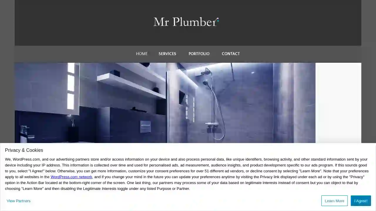 Mr Plumber